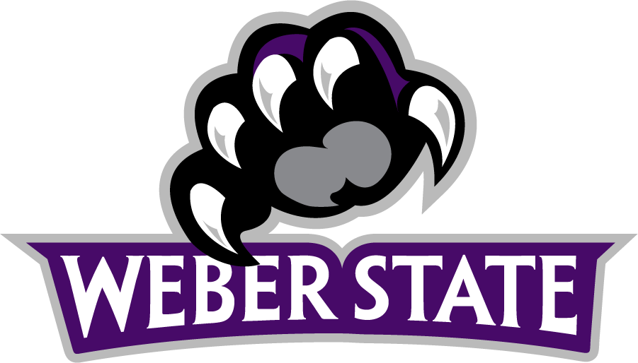Weber State Wildcats 2012-Pres Secondary Logo v3 DIY iron on transfer (heat transfer)